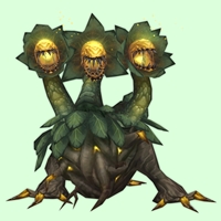 Lightbloom Mandragora