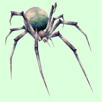 Classic Grey Spider