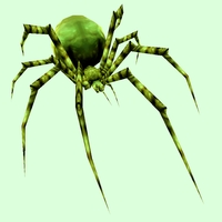 Classic Green Spider