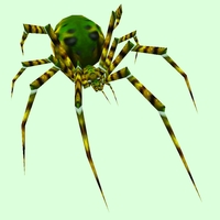 Classic Jungle Spider