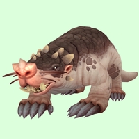 Pale Mole w/ Trefoil Nose, Tusks