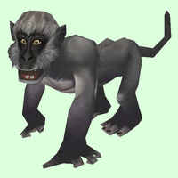 Grey Monkey