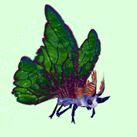 Blue Moth w/Green Wings