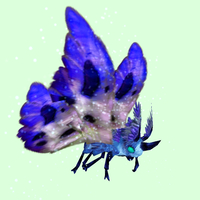 Cyan-Blue Moth w/ Indigo & White Wings