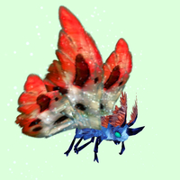 Cyan-Blue Moth w/ Red & White Wings