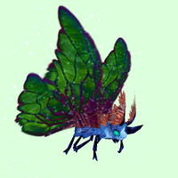 Cyan-Blue Moth w/ Green Wings