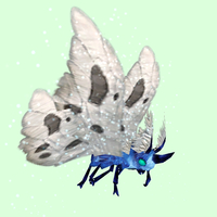 Cyan-Blue Moth w/White Wings