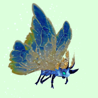 Cyan-Blue Moth w/ Blue Wings