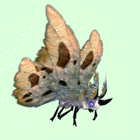Grey Moth w/ Beige Wings