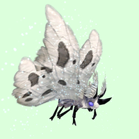 Grey Moth w/ White Wings