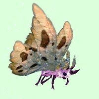 Pink Moth w/ Beige Wings