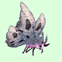 Pink Moth w/ Grey Wings
