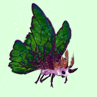 Pink Moth w/ Green Wings