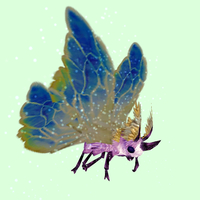 Pink Moth w/ Blue Wings