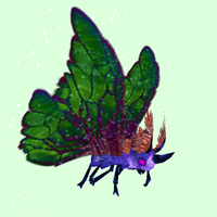 Purple Moth w/ Green Wings