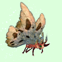 Red Moth w/Beige Wings