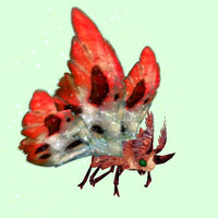 Red Moth w/ Red & White Wings