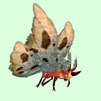 Red Moth w/ Beige Wings