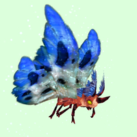 Red Moth w/ Blue & White Wings