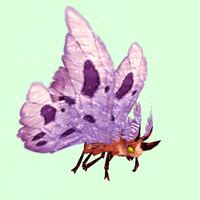 Red Moth w/ Pink Wings