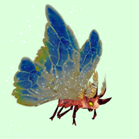 Red Moth w/ Blue Wings