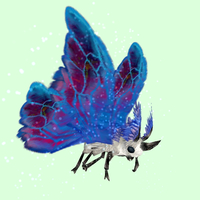 White Moth w/ Blue & Magenta Wings