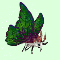 White Moth w/ Green Wings