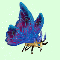 Yellow Moth w/Blue-Magenta Wings