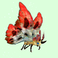 Yellow Moth w/ Red & White Wings