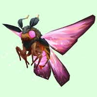 Sparkly Pink Dustmoth w/ Orange Body