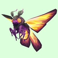 Orange Dustmoth w/ Purple Body