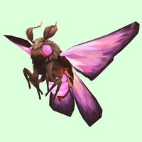 Pink Dustmoth w/ Maroon Body