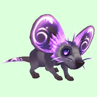 Purple Rock Mouse w/o Neck Ruff