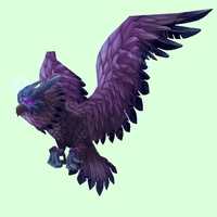 Purple Warden Owl