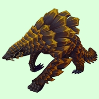 Black & Orange Pango