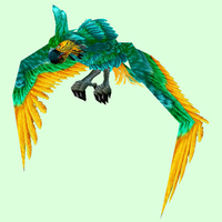 Green & Yellow Parrot