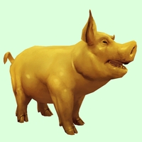Gold Pig
