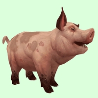 Spotted Pink Pig