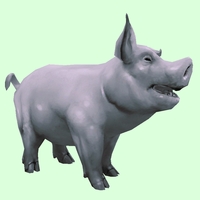 Silver Pig