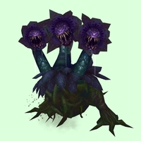 Purple & Dark Blue Mandragora