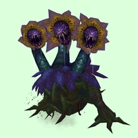 Yellow, Purple & Dark Blue Mandragora