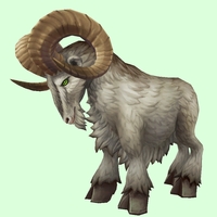 Brown-Grey Ram