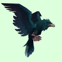 Teal-Black Raven