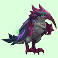 Red-Violet Petalwing