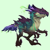 Purple Saptor