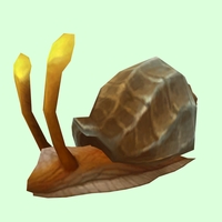 Tan Sea Snail