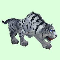 White Tiger