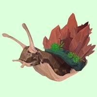 Rusty Brown Crystalline Snail