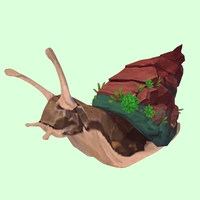 Rusty Brown Rock Snail