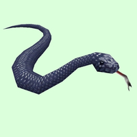 Black Snake